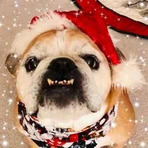 Meet your Posher, Bryanne